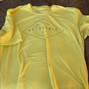 Patagonia tee